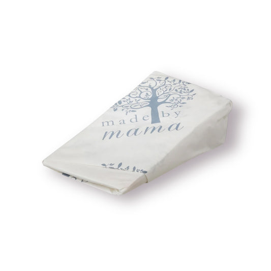 PARMESAN 27 MDR CA. 400 G